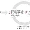 米国大学でのインターンシップとは？
