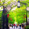 main-campus-gate_0.jpg